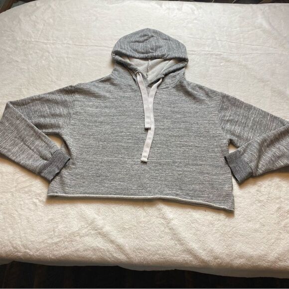 Reflex Gray Cropped Hooded Sweatshirt Size Large - Picture 1 of 8